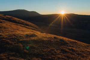 Nam quis velit aliquam, luctus leo commodo, euismod odio.